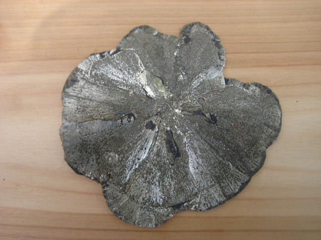 Pyrite Sun vitality, willpower, creativity, confidence, action, manifestation 3877